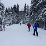 Les Sapins Argentes Жерарме