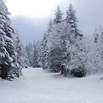 Шале Les Sapins Argentes