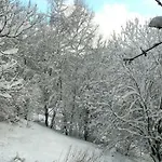 Шале Les Sapins Argentes *