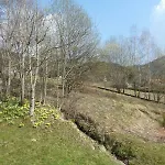 Шале Les Sapins Argentes *