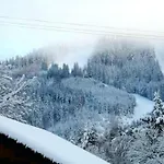 Шале Les Sapins Argentes