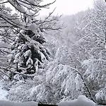 木屋 Les Sapins Argentes