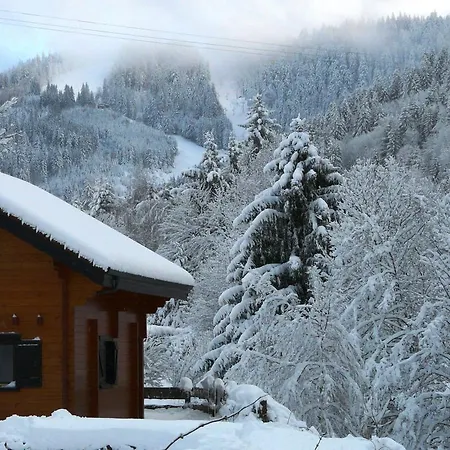 Les Sapins Argentes شاليه جوراردُميه