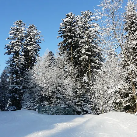 Les Sapins Argentés Gérardmer