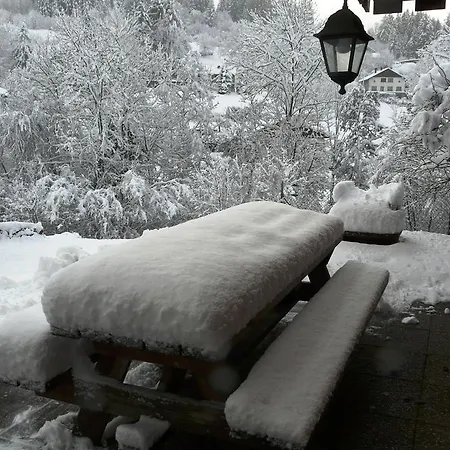 شاليه Les Sapins Argentes *