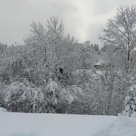 Les Sapins Argentés Gérardmer
