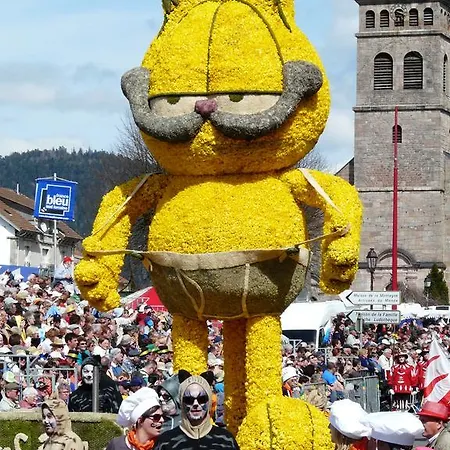 Les Sapins Argentes Gérardmer