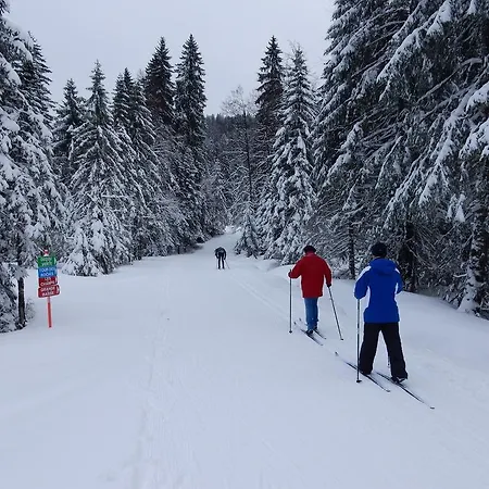Les Sapins Argentés Gérardmer