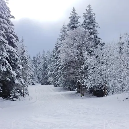 Chalet Les Sapins Argentes