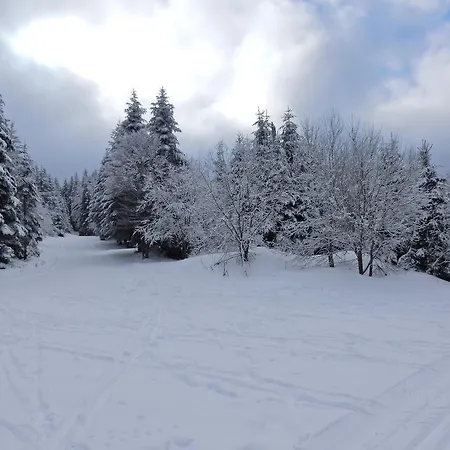 Chalet Les Sapins Argentés *