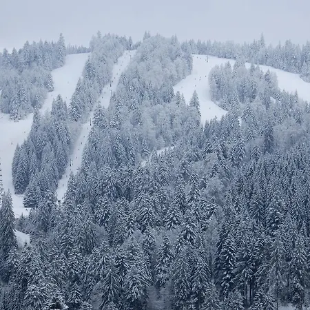Les Sapins Argentés