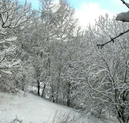 Horská chata Les Sapins Argentes *