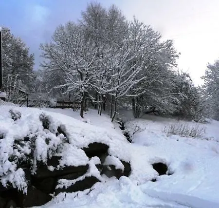شاليه Les Sapins Argentes