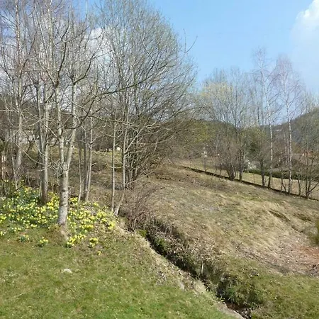 Chalet Les Sapins Argentés *