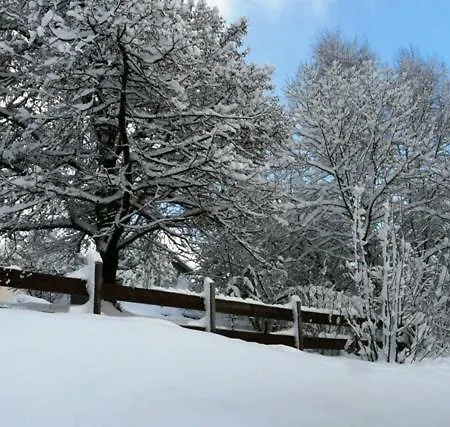 Les Sapins Argentés Chalet *
