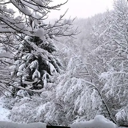 Chalet Les Sapins Argentés
