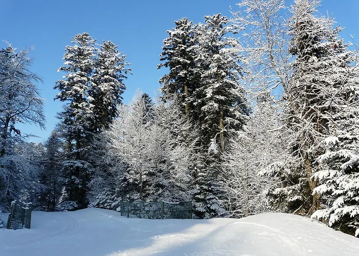 Les Sapins Argentes Gérardmer