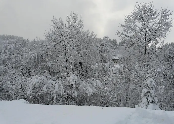 Les Sapins Argentes Gérardmer