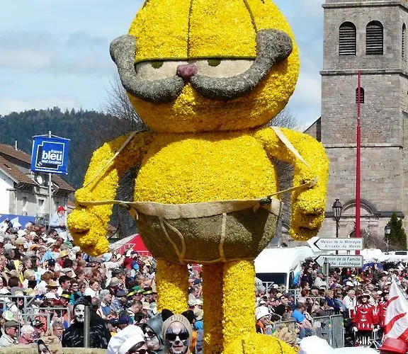 Les Sapins Argentes Gérardmer