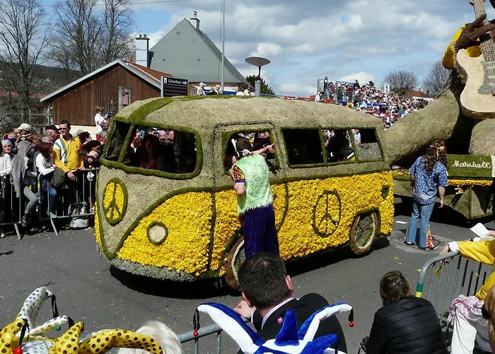 Les Sapins Argentes Gérardmer