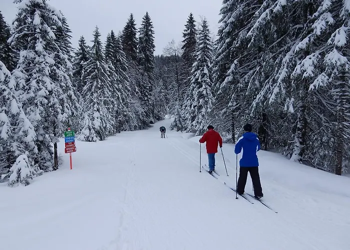 Les Sapins Argentes Gérardmer