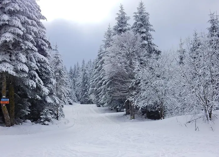 Alpehytte Les Sapins Argentes