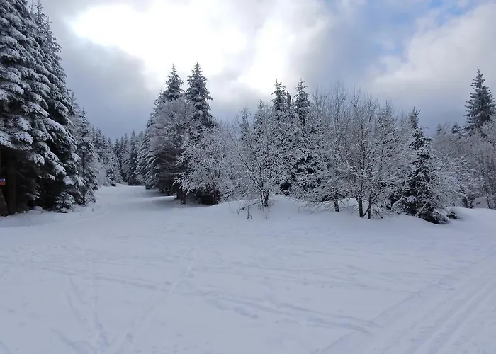Alpesi faház Les Sapins Argentes *