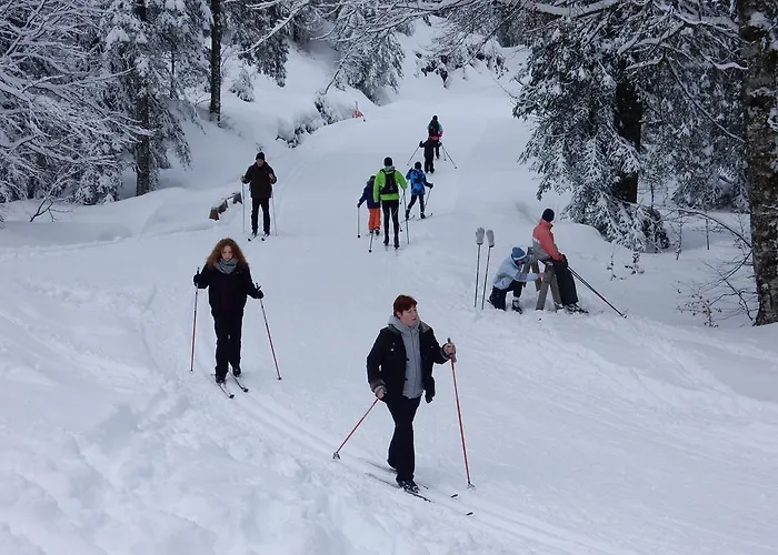 Alpesi faház Les Sapins Argentes
