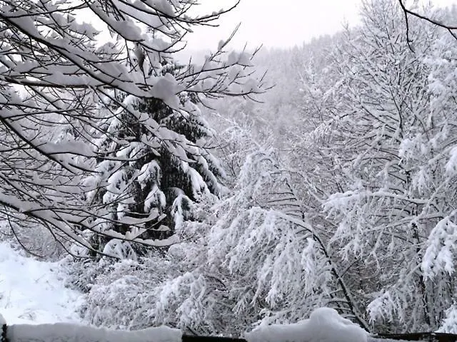 Horská chata Les Sapins Argentes